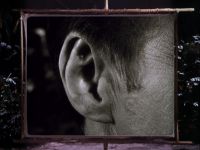 Skipper: WHOSE EAR IS THAT?