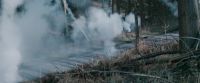Smoke