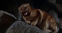 ( Snarling )
