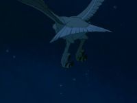 [SQUAWK]