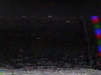 [static continues buzzing]