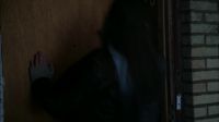 Steve?