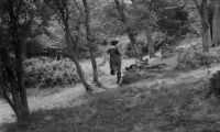 Stretcher bearers!