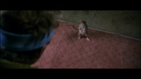 Stuart Little