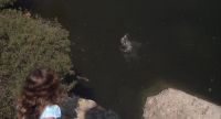 Swim to the side Eric