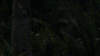 TEMERAIRE: Here. Stop