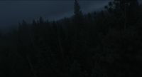 [tense ambient tones]
