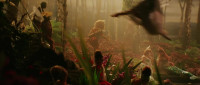 That is Neverland