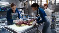 That's odd. The flesh decomposition isn't consistent