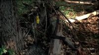 The axe was found buried over there