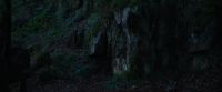 The devil bear is in there