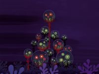 The hidden city