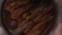The initials 