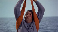 The only way to fly