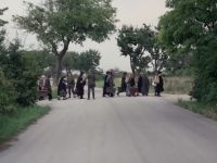 The road is crowded with them