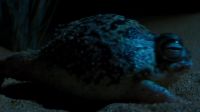The sleepy frog transforms into a termite terminator
