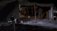 The Wolverines are attacking