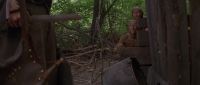 Them goddamn wild boars