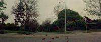 (theme fades)