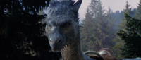 You shouldn't have It was recklessbut I'm glad you didWasn't it an old wise man who once saidOne part brave three parts foolBrom would be proud of you