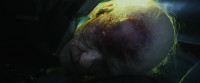 There's nothingI knowHave a good journey Mr Weyland