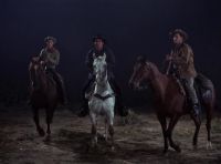 They're stampeding!