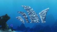 This is bad Dory Hey watch thisBoing BoingDoryYou can't catch meDon't bounce on the topsThey will not sting youThe tops don't sting you Two in a row Beat thatDory listen to me I have an idea a gameA