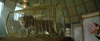 This is called a cage