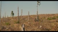 This clear-cut area is huge