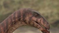 This is Masiakasaurus