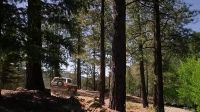 This is one long driveway