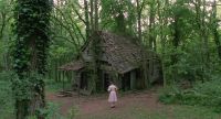 This is the old house