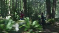 Through the trees! Through the trees!
