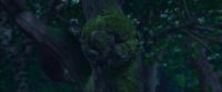 (THUNDER RUMBLING)