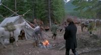 Tie those horses up