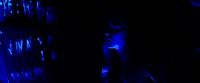 TRAPPED DOWN HERE IN THE DARK