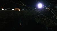 Tree line!