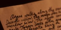Two manuscripts?