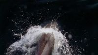 Under the waves