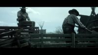 [urging pigs]