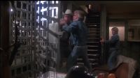 Wait. Hey, hold it