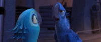 Wait wait Listen to meFlying may not be my thing but walking isFollow my lead lnside leg outside legYeah okay l got it