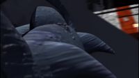 Watch your back! Watch your back!