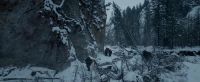 Watch it