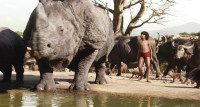 Watch yourself pleaseDad what is thatI think that's a man cubWhat's a man cub doing here