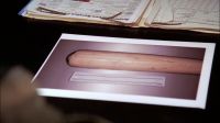 We found your bat