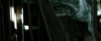 We have found you