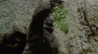 What are you doing?