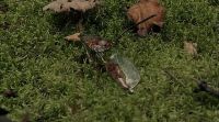 What do you think that is?