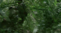 What's got Billy so spookedCan't say MajorBeen acting squirrely all morningThat damn nose of his it's weirdWhat is itBillyWhat the hell is wrong with youThere's something in those treesDo you see
